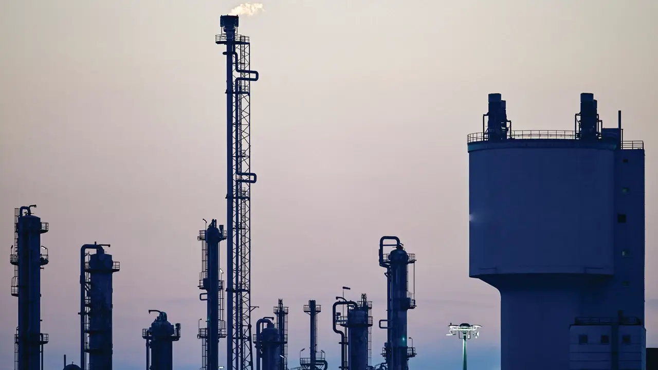 M2O – Odoo ERP project delivered by Eezee